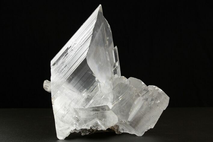 Glassy Selenite Crystal Cluster - Naica Mine, Mexico #325058